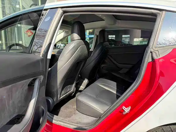 Tesla Model 3 2019