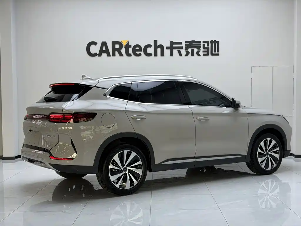 BYD Song PLUS New Energy 2024 — фото 6