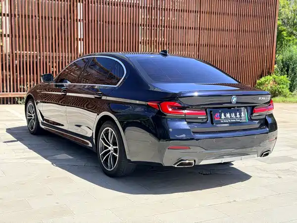 BMW 5 Series New Energy 2023