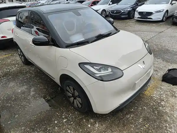 Wuling Bingo 2024