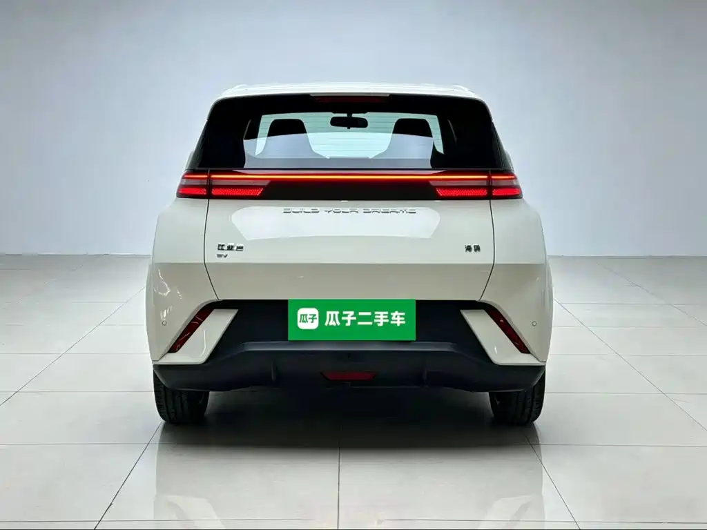 BYD Seagull 2024