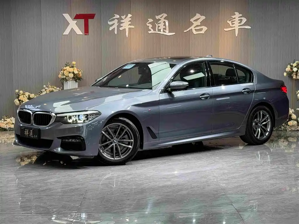BMW 5 Series 2019