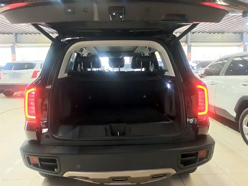 Haval Big Dog 2022 — фото 19