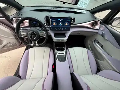 BYD Dolphin 2022