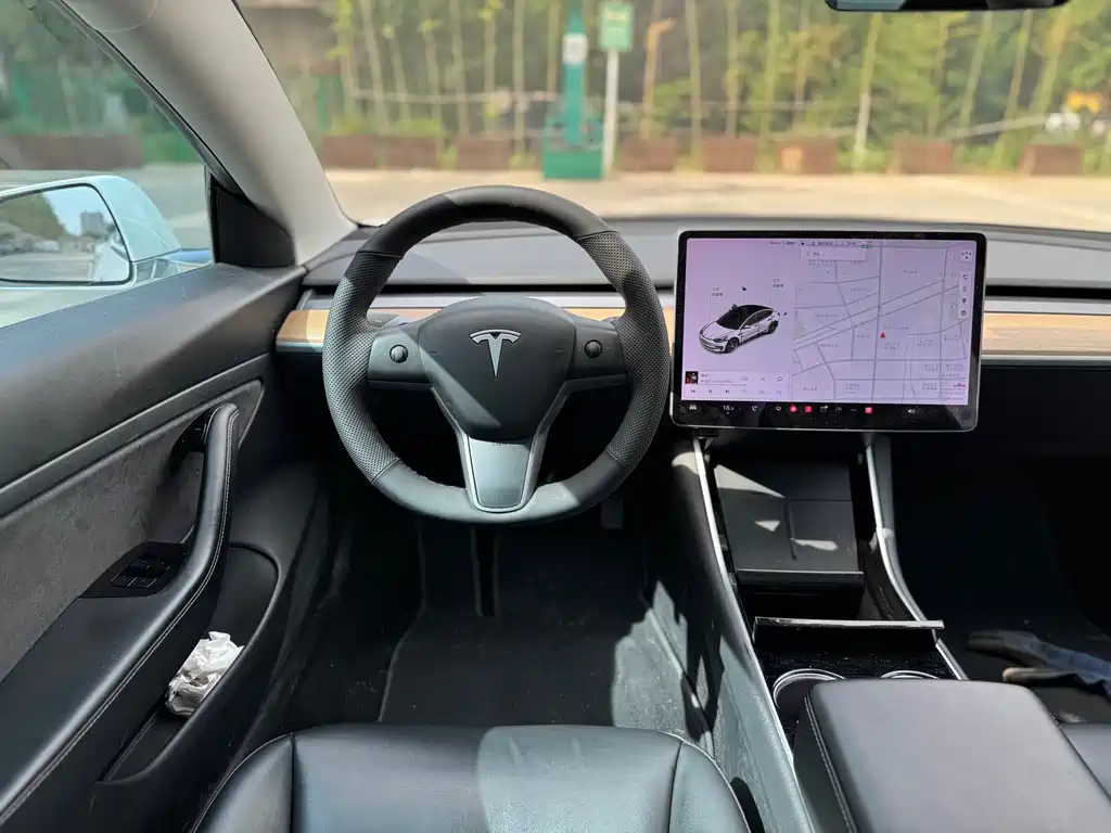 Tesla Model 3 2020 — фото 10