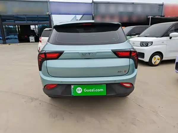 Neta V 2021