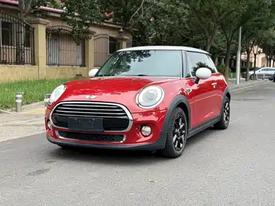 MINI MINI 2015