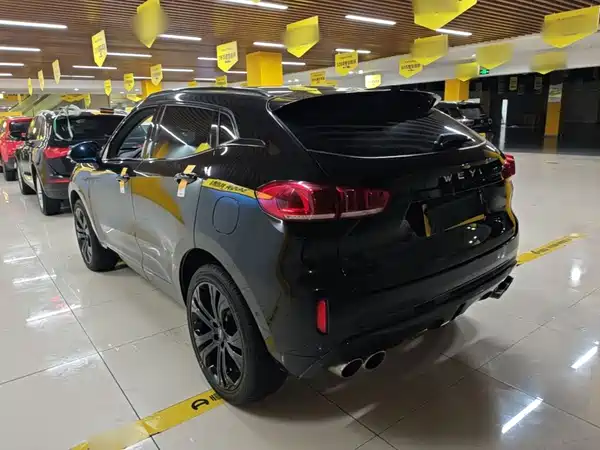 Wey VV5 2017