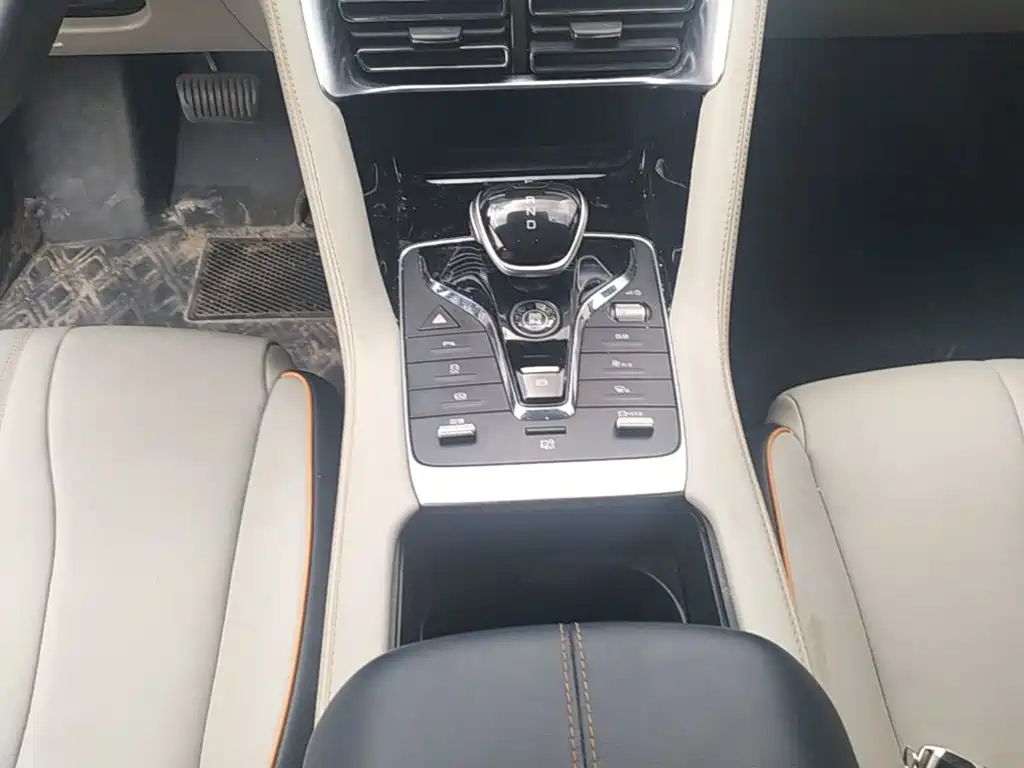 BYD Song PLUS New Energy 2022 — фото 14