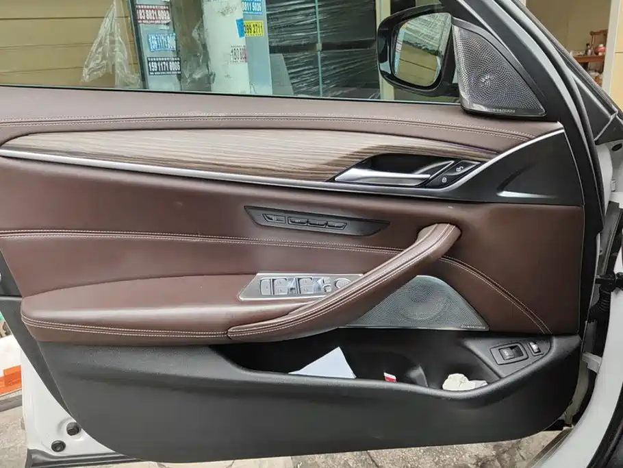 BMW 5 Series New Energy 2020
