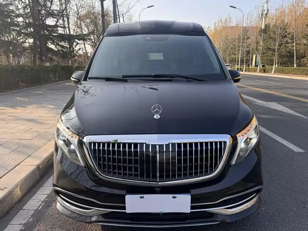 Mercedes-Benz V-Class 2020 — фото 2