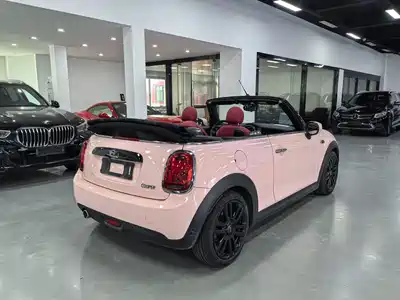 MINI MINI 2018