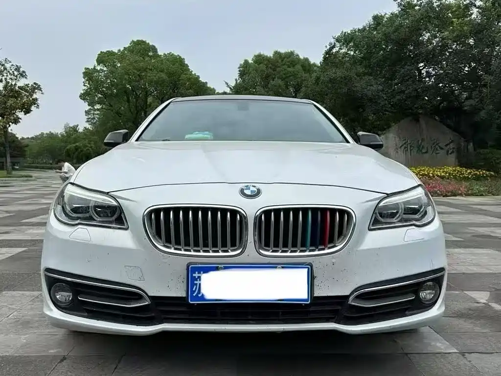 BMW 5 Series 2014 — фото 2