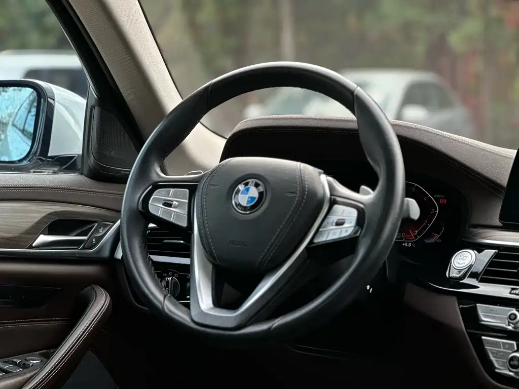 BMW 5 Series 2020 — фото 17