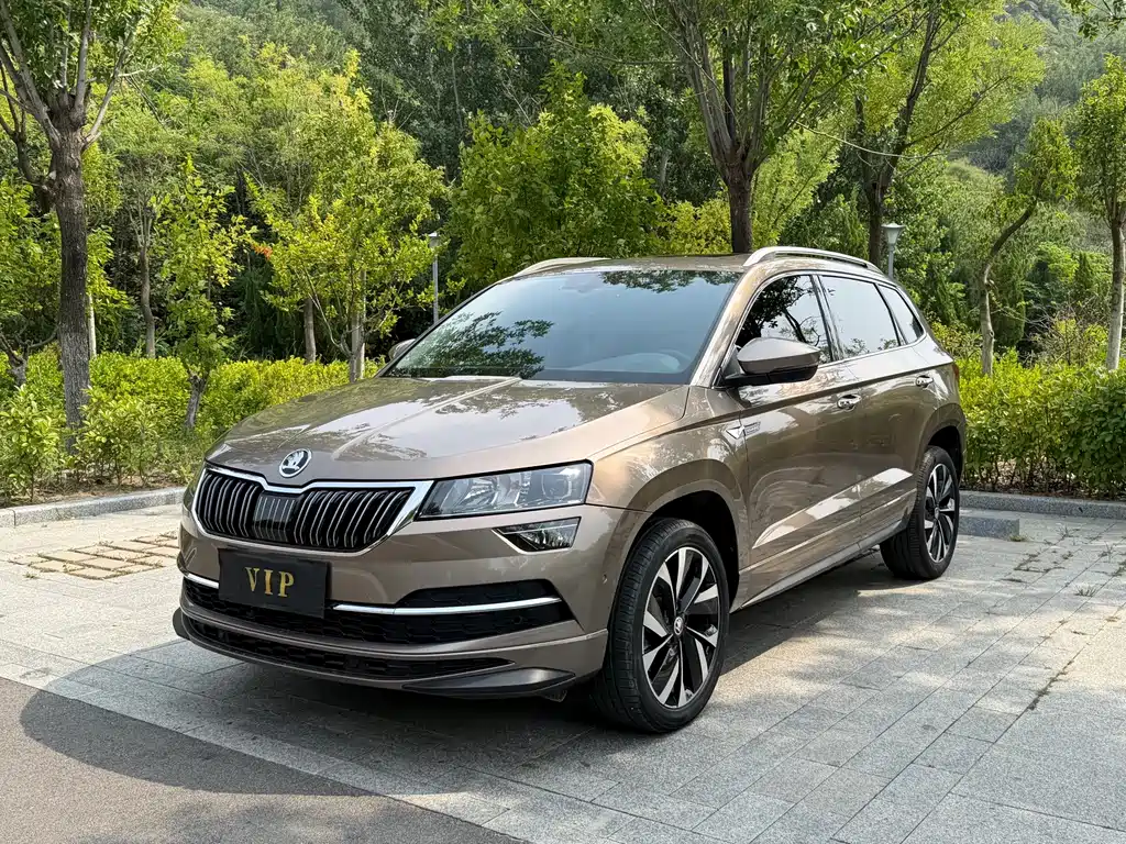Skoda Karoq 2023 — фото 1
