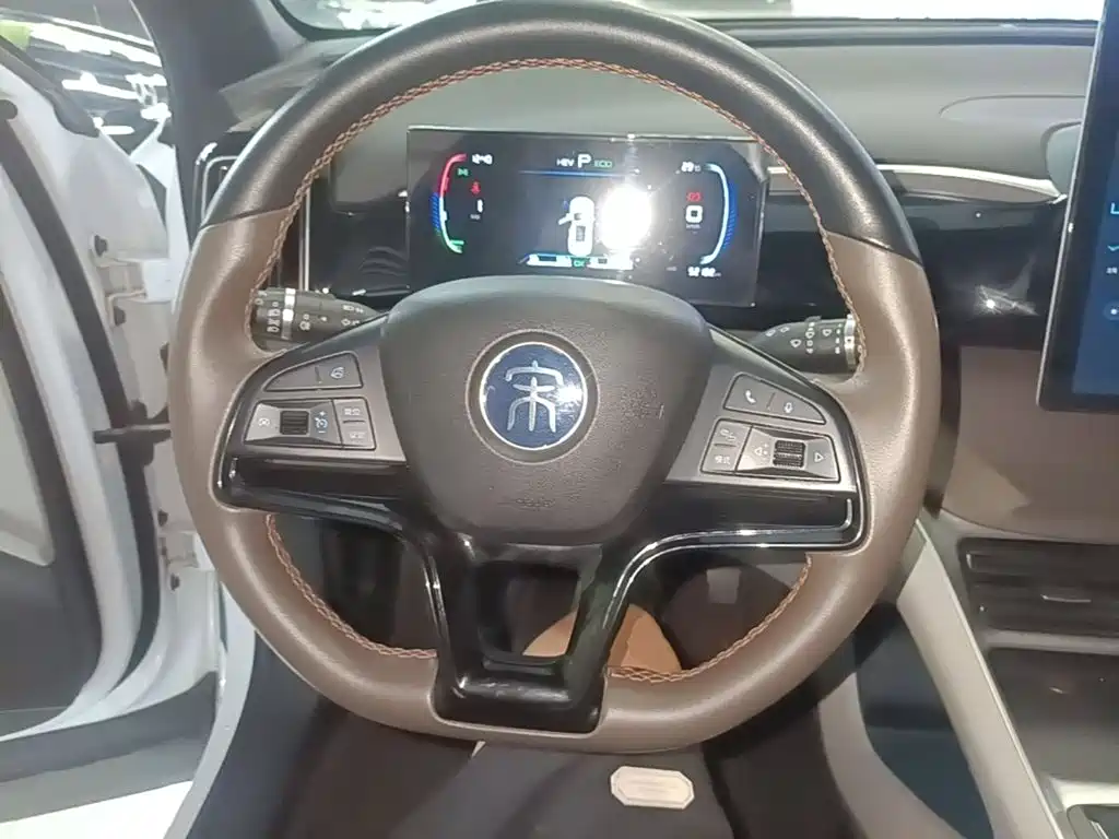 BYD Song Pro New Energy 2022 — фото 11