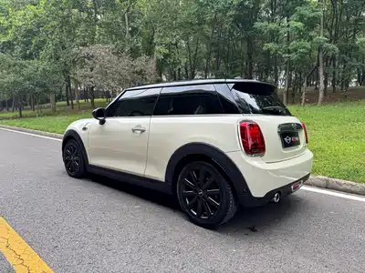 MINI MINI 2019