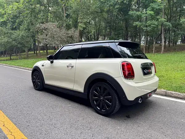 MINI 2019