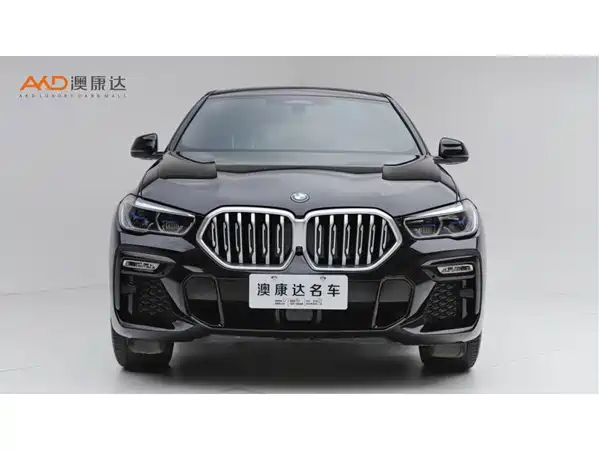 BMW X6 2021