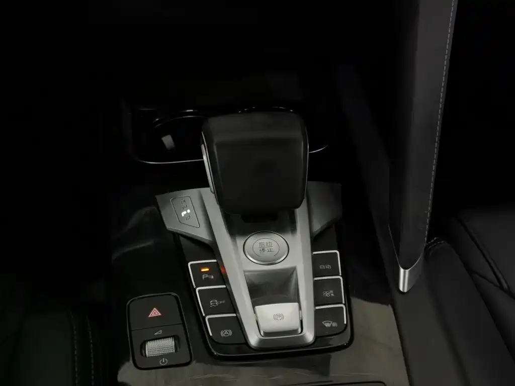 BYD Song Pro New Energy 2020 — фото 13