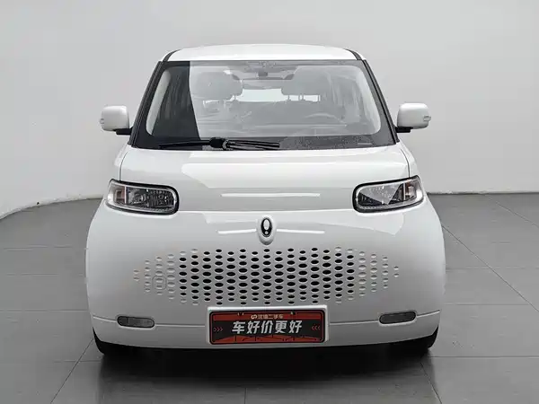 Ora White Cat 2022