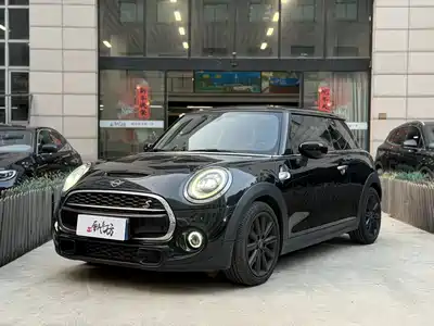 MINI MINI 2019