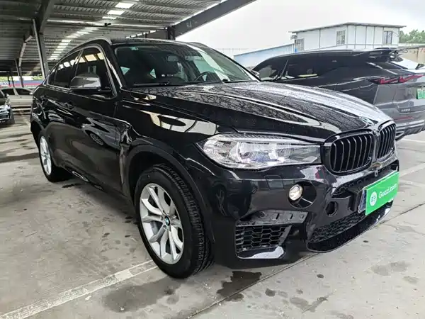 BMW X6 2018
