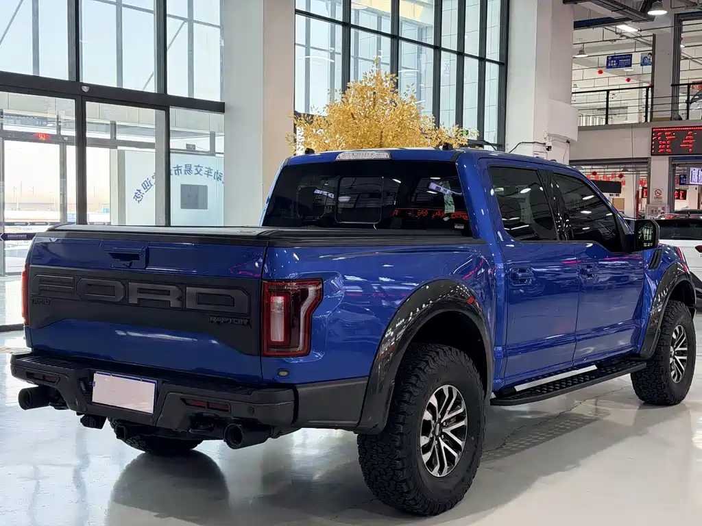 Ford F-150 Raptor 2020 — фото 7