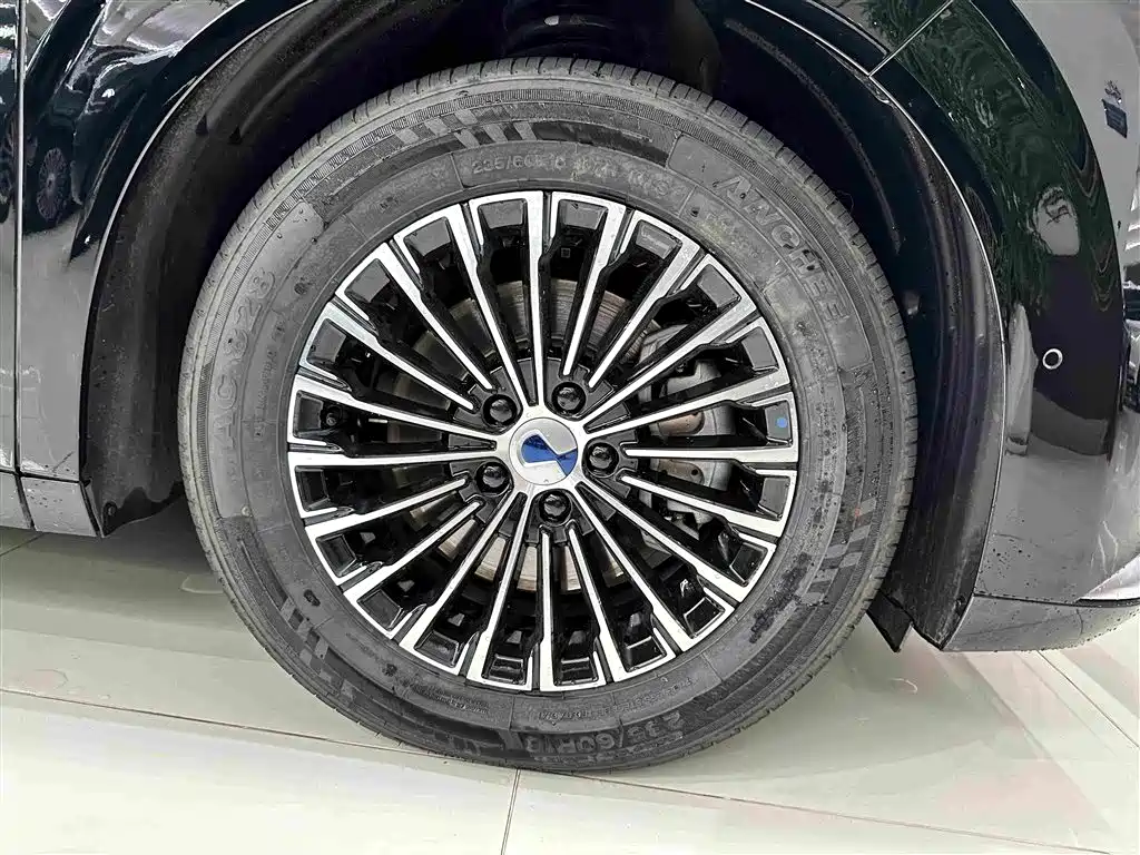 Denza D9 2025