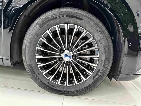 Denza D9 2025