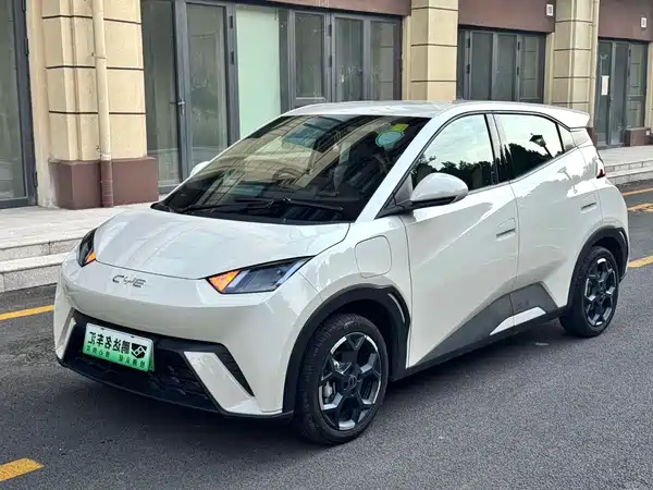 BYD Seagull 2024