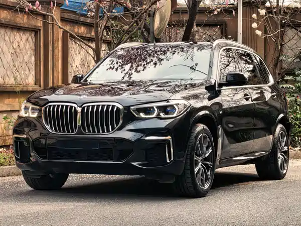 BMW X5 2022