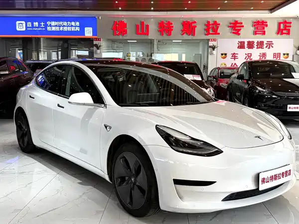 Tesla Model 3 2019
