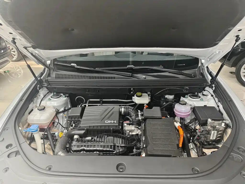 BYD Song Pro New Energy 2025 — фото 15
