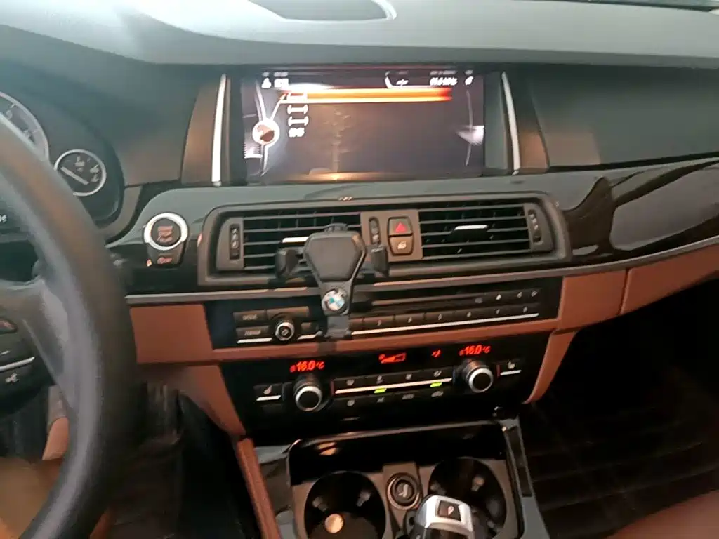 BMW 5 Series 2017 — фото 13