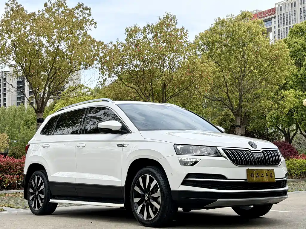 Skoda Karoq 2019 — фото 3