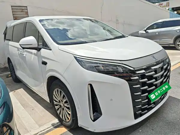 BYD Summer 2025