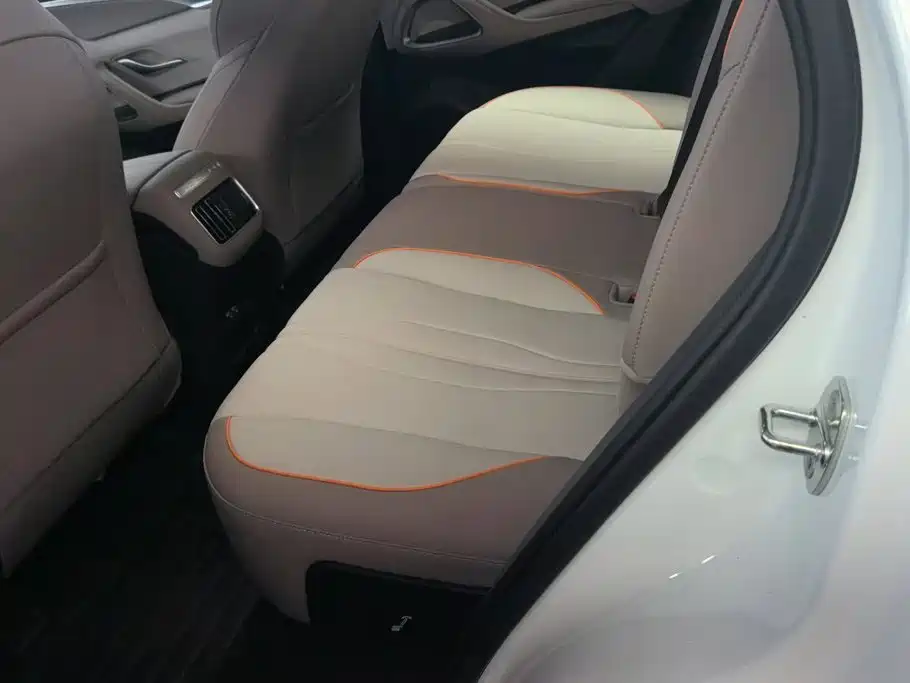 BYD Song Pro New Energy 2024 — фото 11