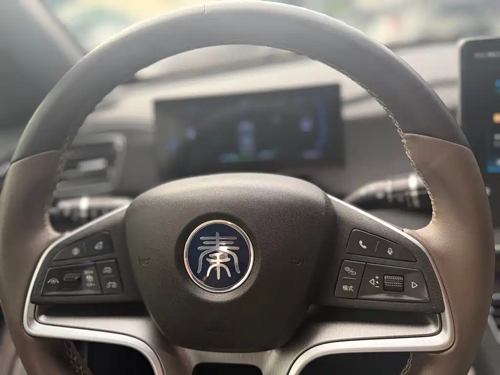 BYD Qin PLUS 2023 — фото 18