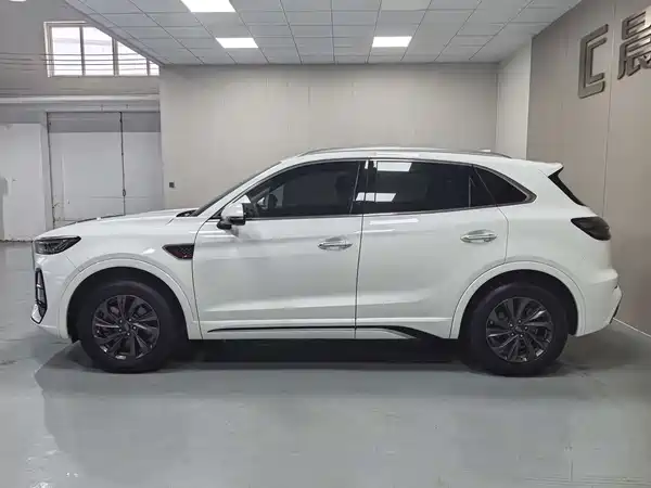 Hongqi HS5 2023