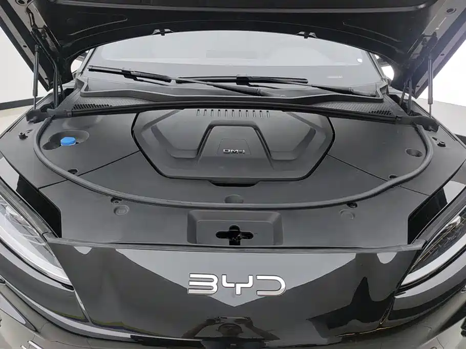 BYD PLUS New Energy 2025 — фото 10