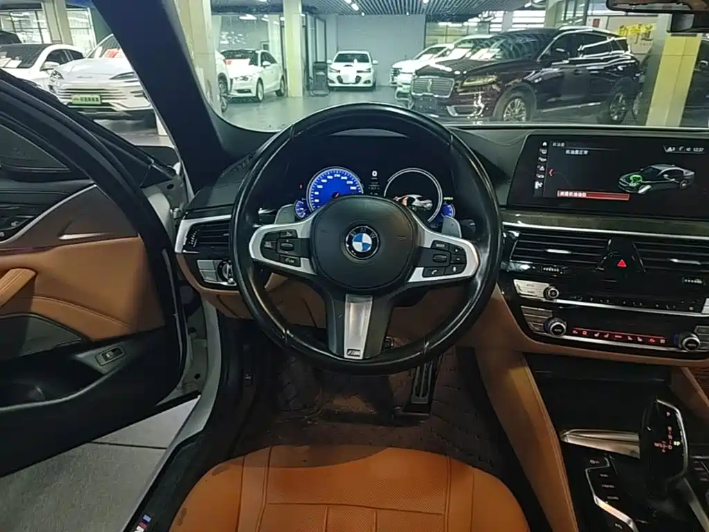 BMW 5 Series 2018 — фото 11