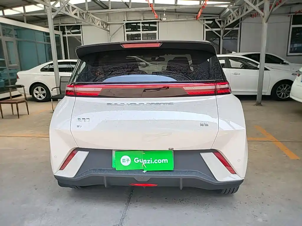 BYD Seagull 2024