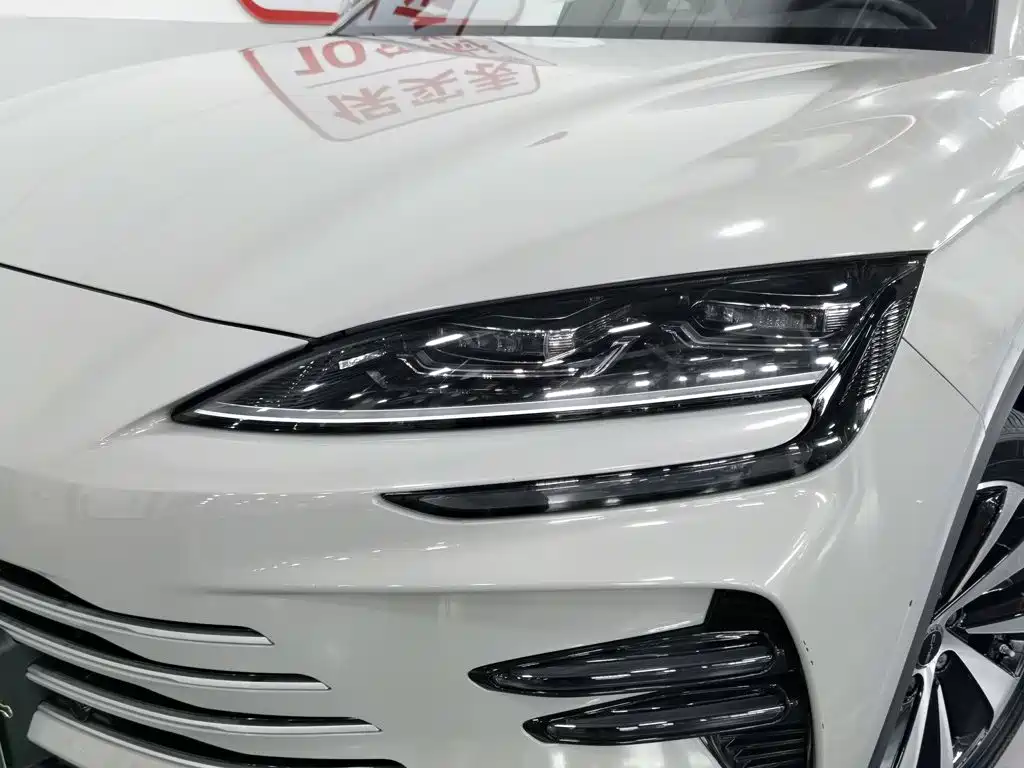 BYD Song PLUS New Energy 2024 — фото 7