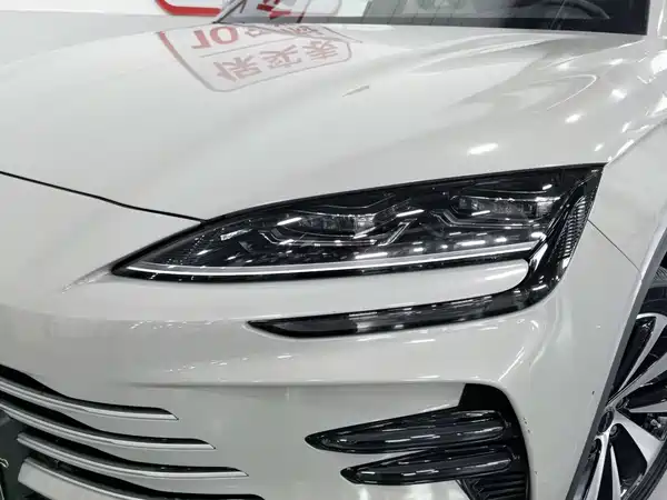BYD Song PLUS New Energy 2024