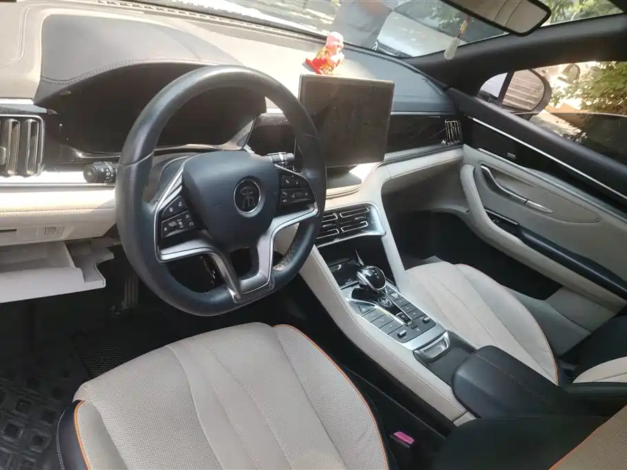 BYD PLUS New Energy 2022 — фото 12