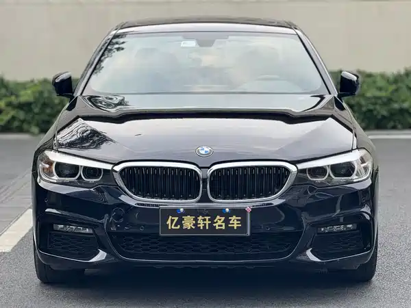 BMW 5 Series 2019