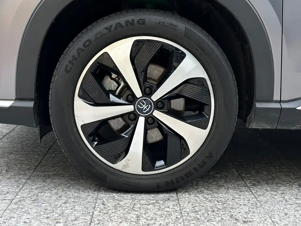 BYD PLUS New Energy 2023 — фото 18