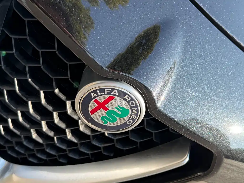 Alfa Romeo Stelvio 2019 — фото 5