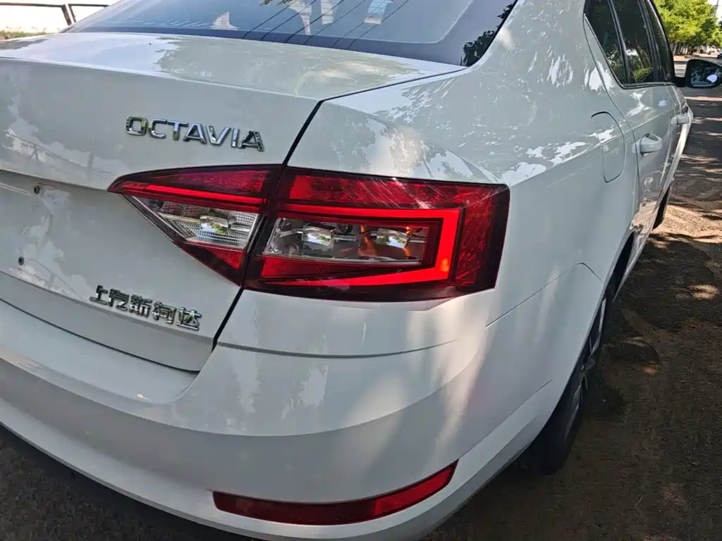 Skoda Octavia 2019 — фото 8